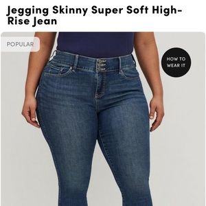New Torrid Jeggings